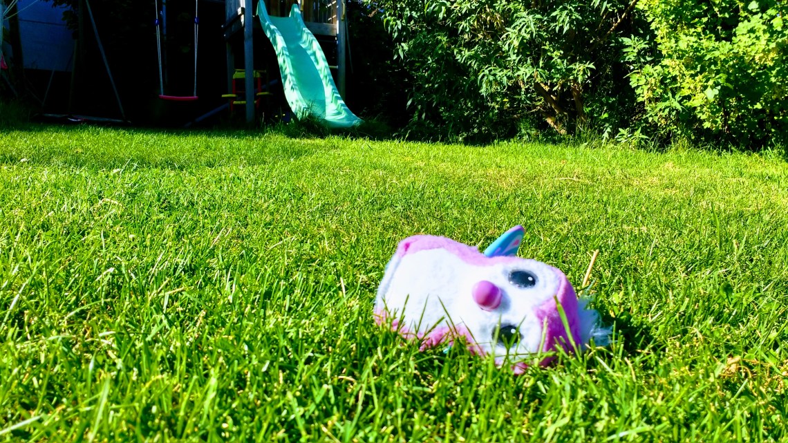 IMG_20170526_180134349_HDR-EFFECTS