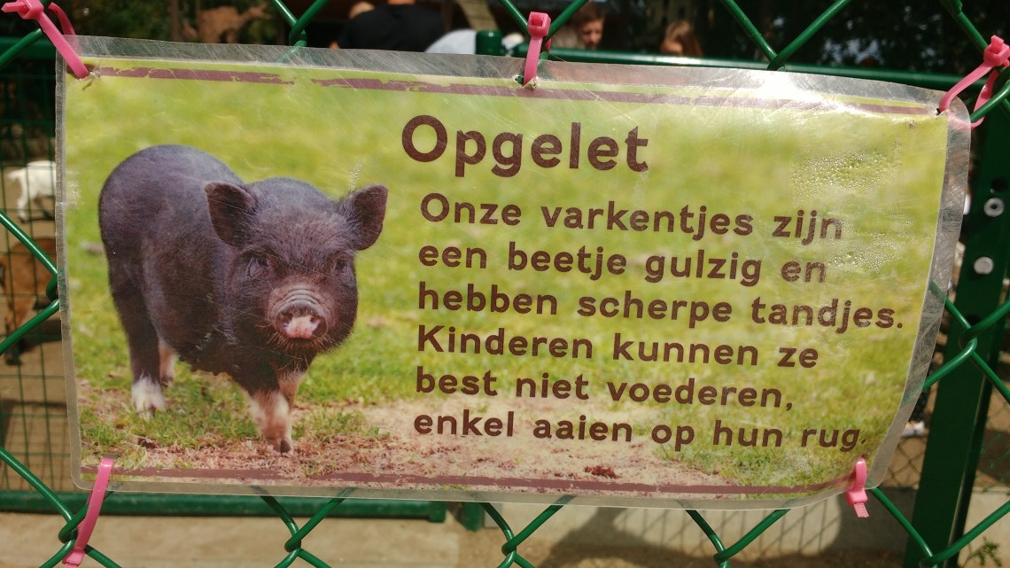 IMG_20170820_143456718