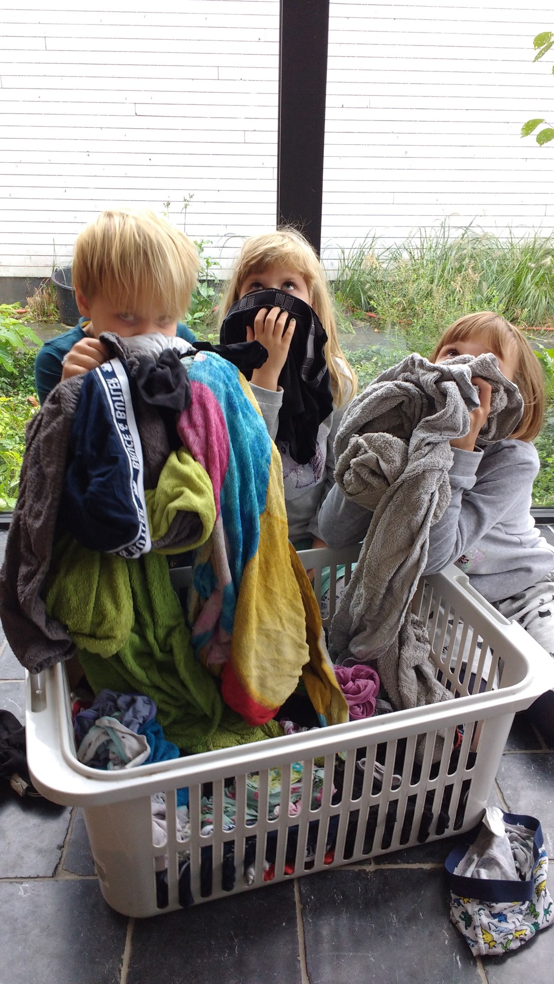 IMG_20171007_155626278